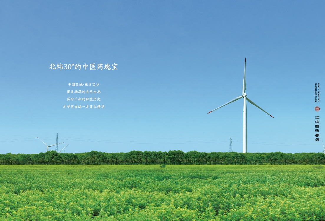 熱敏灸健康臻禮畫冊-13.jpg